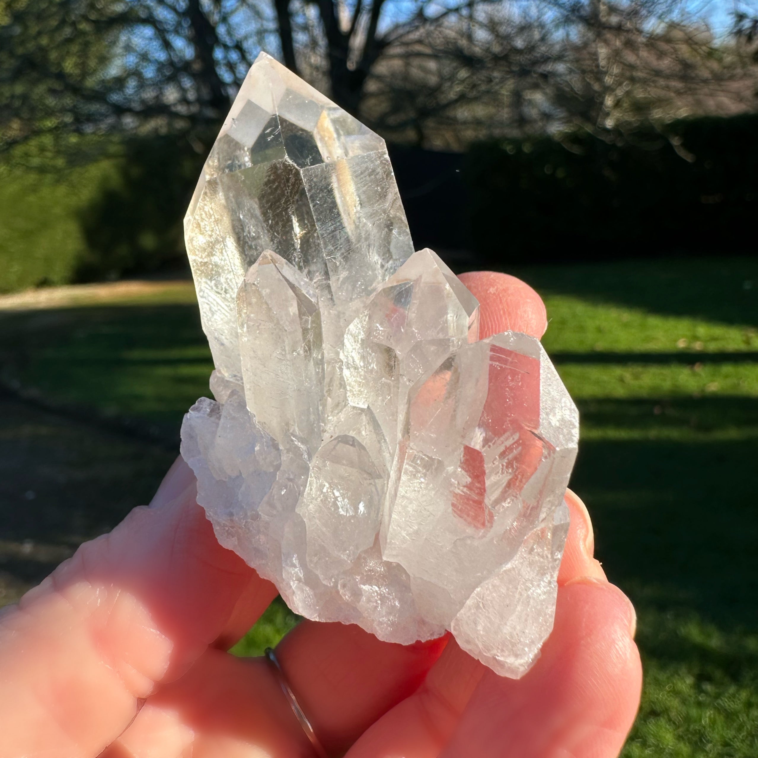 Clear Quartz Cluster