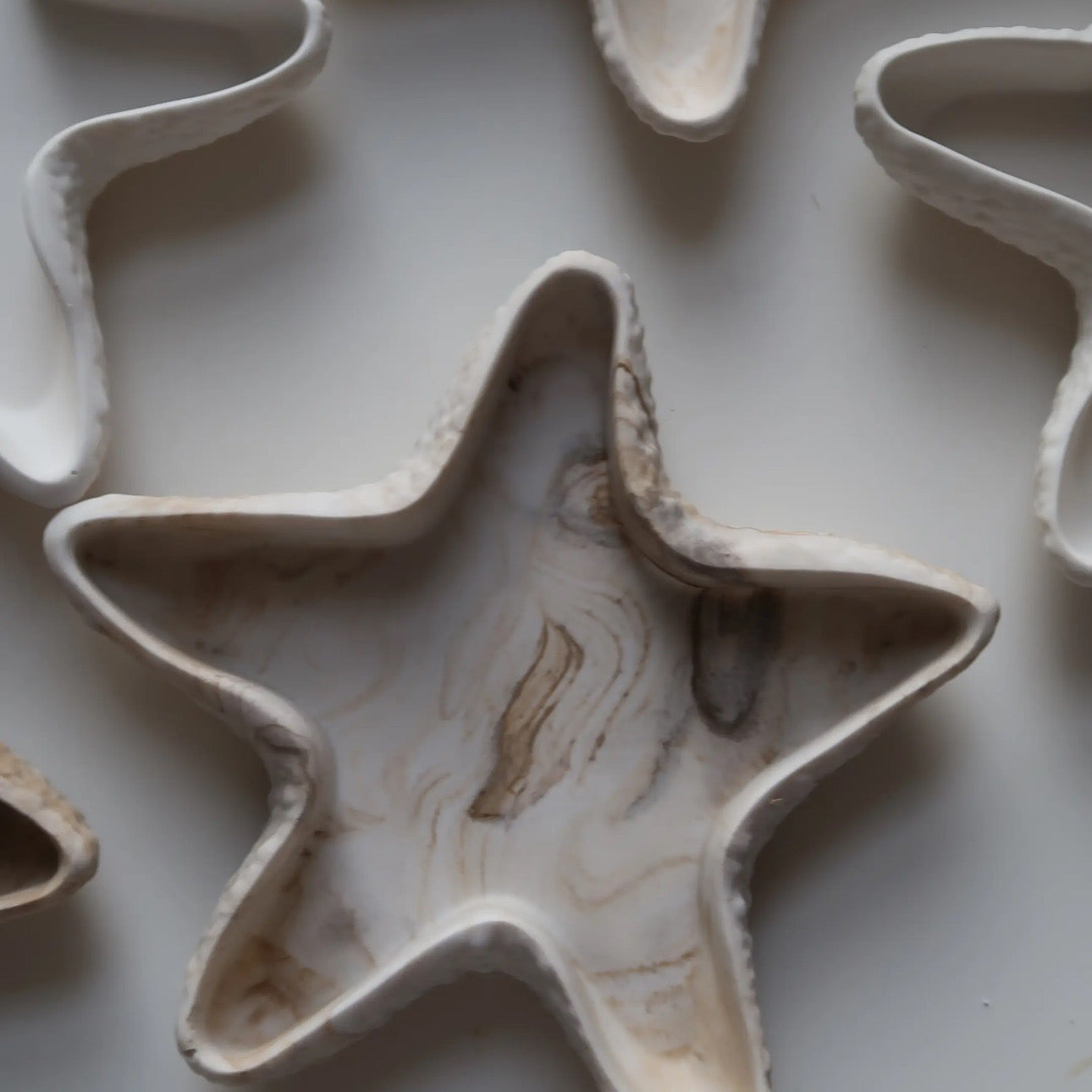 HANDMADE COASTAL SHELL TRINKET TRAY ♡