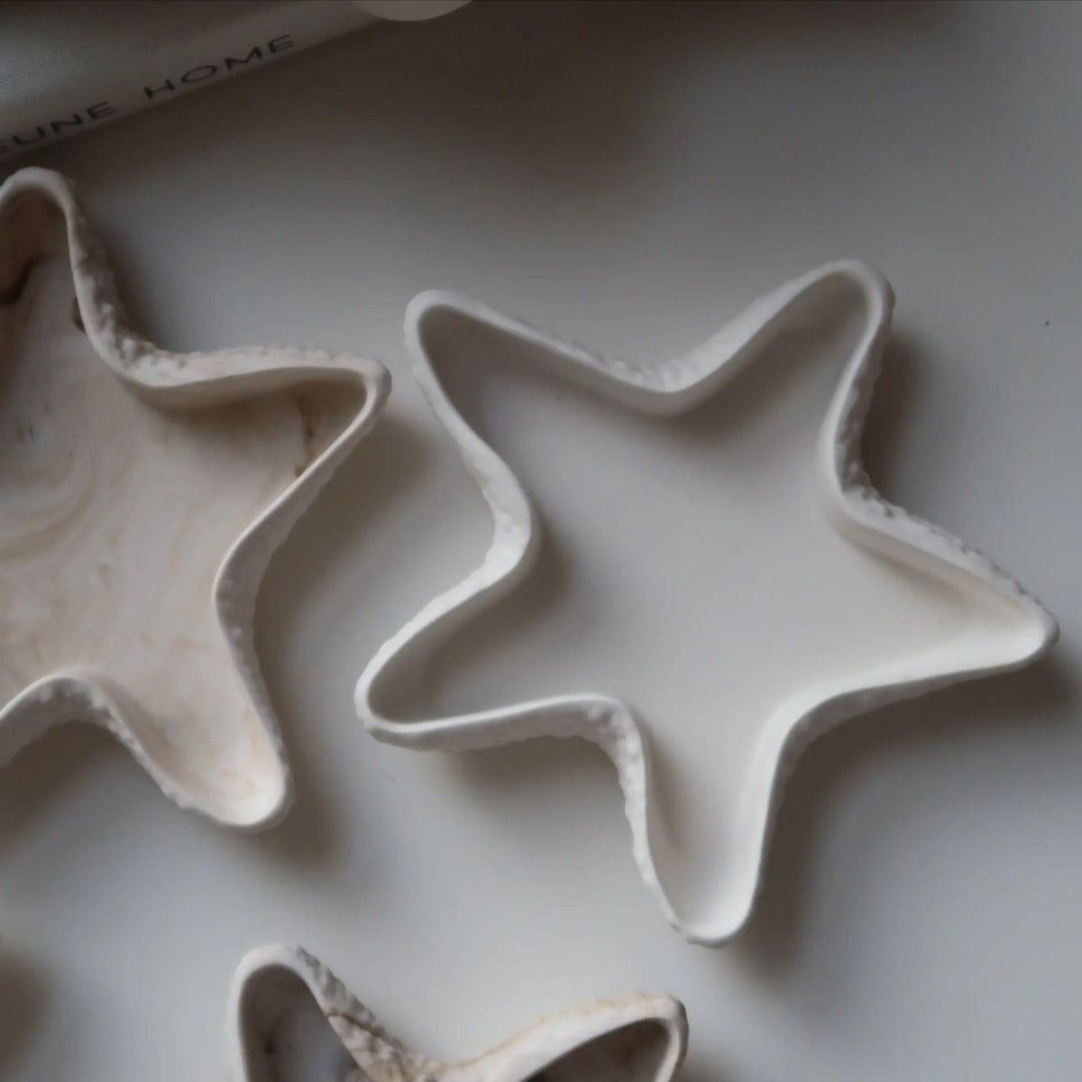 HANDMADE COASTAL SHELL TRINKET TRAY ♡