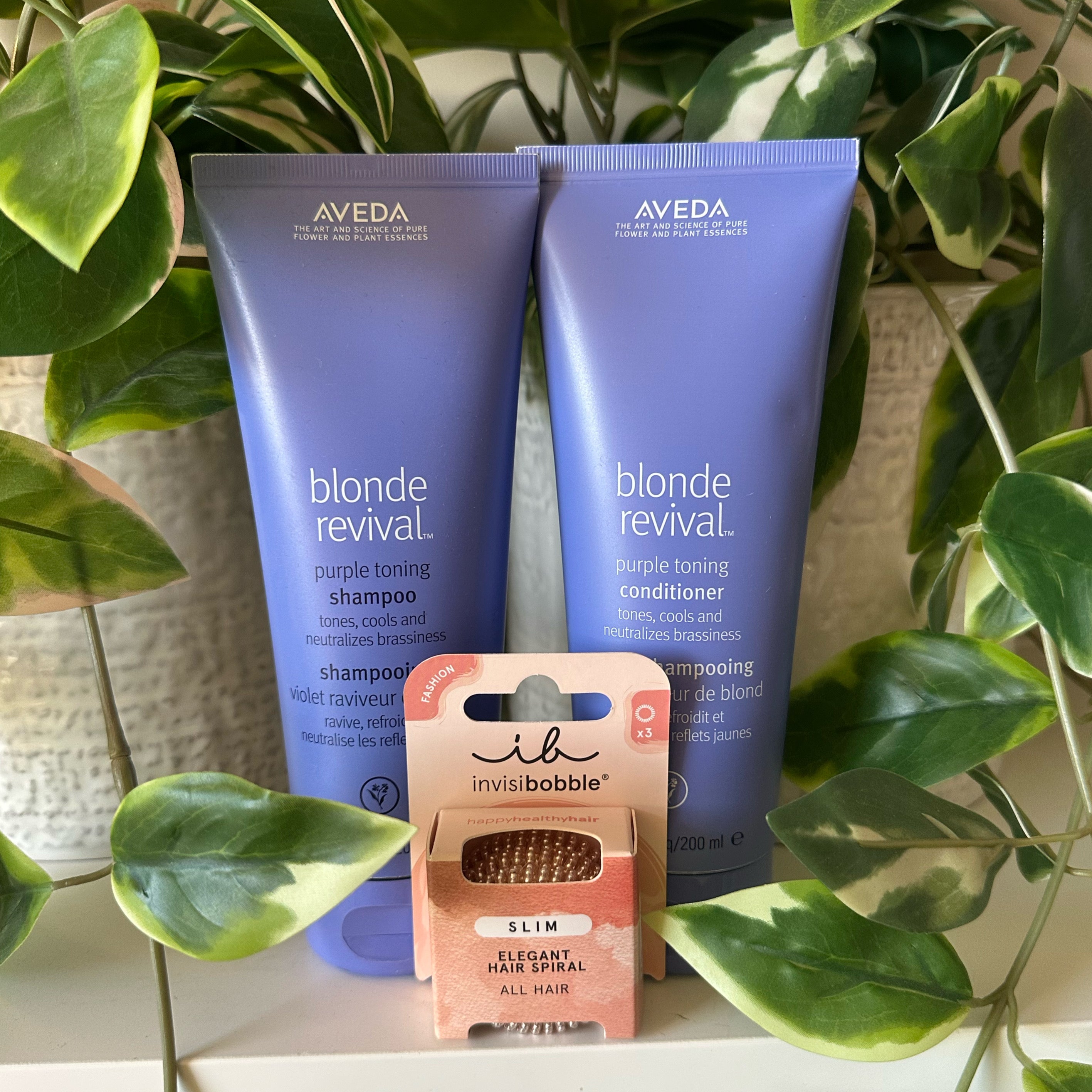 Blonde Revival Shampoo & Conditioner with a FREE pack of Invisibobbles