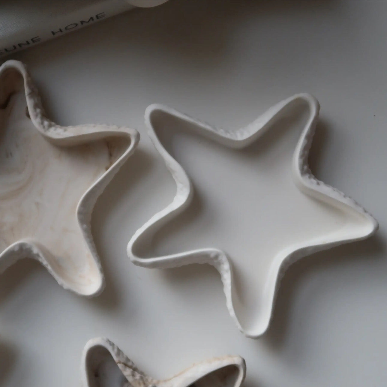 HANDMADE COASTAL SHELL TRINKET TRAY ♡